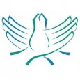 Итоги Конкурса методических разработок и образовательных программ в области научно-практического образования