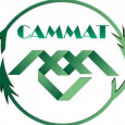 Межрегиональная олимпиада школьников   по математике «САММАТ»