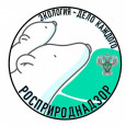 Завершение работы ЭкоШколы ЦТРиГО